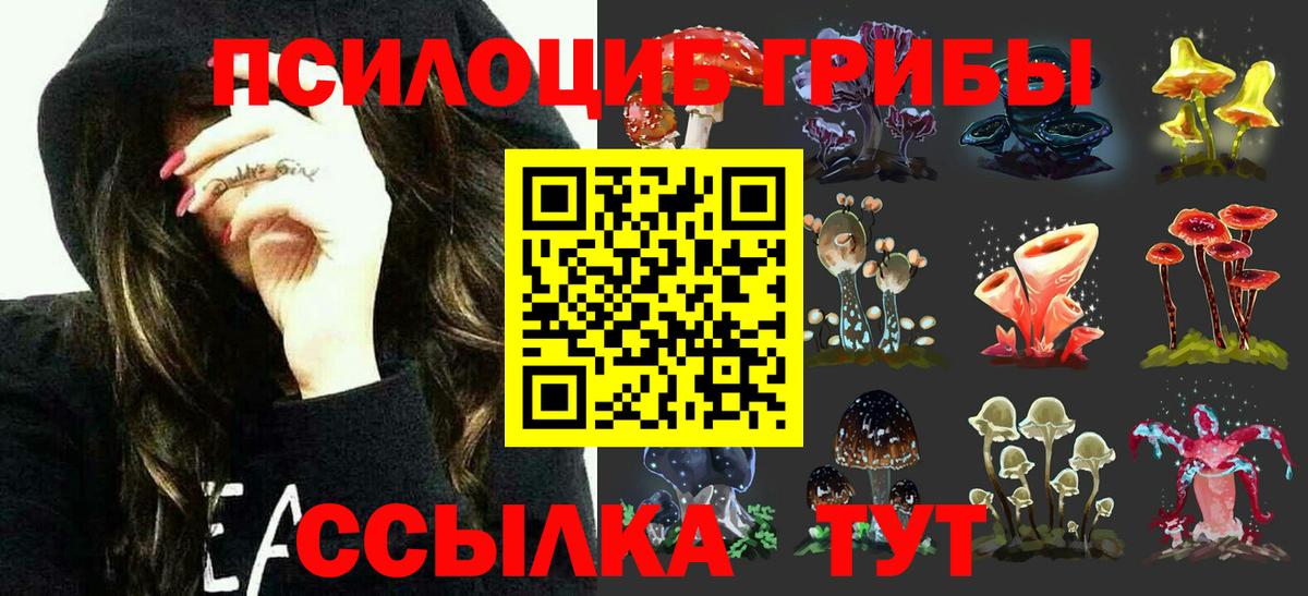 Галлюциногенные грибы ЛСД  Псилоцибиновые грибы Cubensis  Отрадный  купить   Вход с VPN 