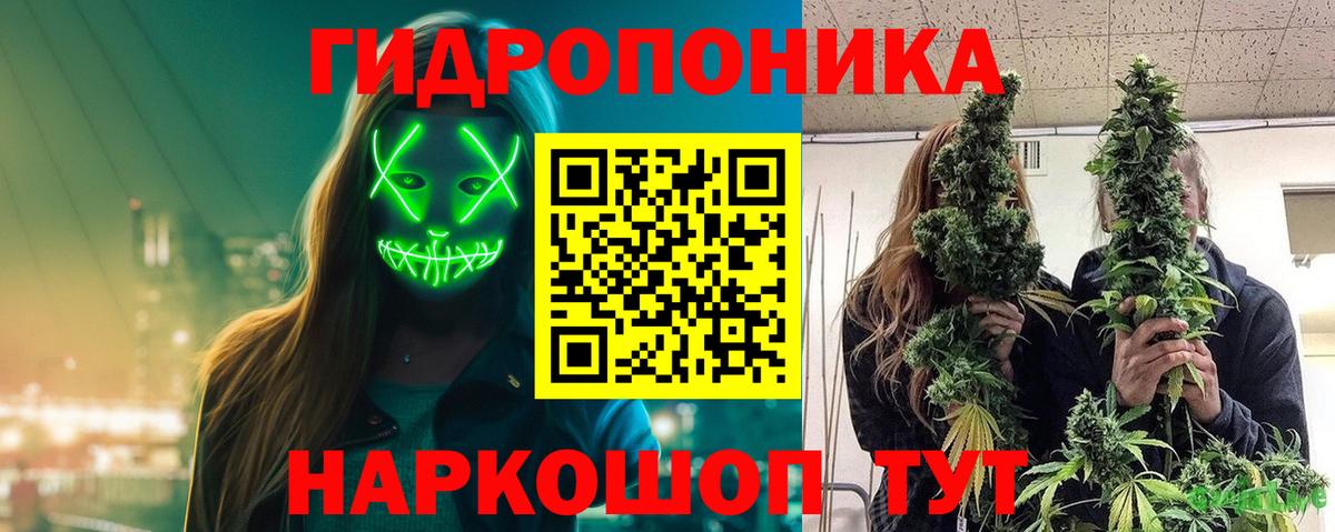 Канабис AK-47 Отрадный